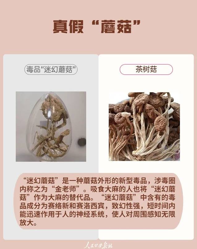 说明: 图片